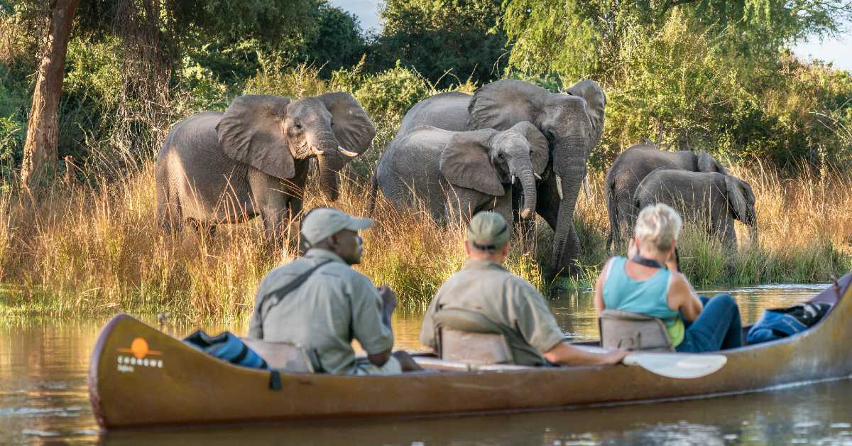 Zambia tours include canoeing safaris