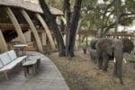 Sandibe Okavango Delta Camp elephant