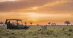 Masai Mara safari