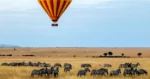 Masai Mara safari in a hot air balloon