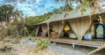 Luxury Okavango tented accommodation