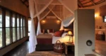 Ngoma Safari Lodge accommodation