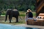 Family safaris at Phinda Homestead Lodge
