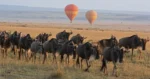 Serengeti hot air balloon