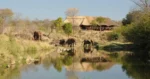 The Wallow Lodge in Victoria Falls