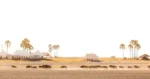 Makgadikgadi Salt Pans safari